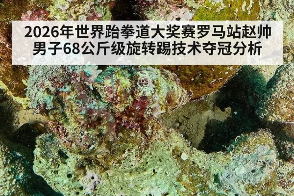 2026年世界跆拳道大奖赛罗马站赵帅男子68公斤级旋转踢技术夺冠分析