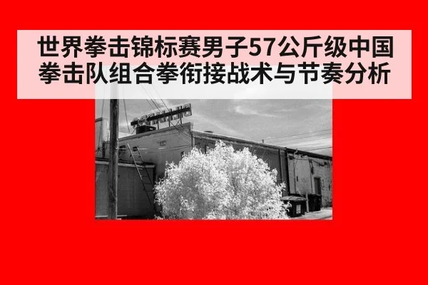 世界拳击锦标赛男子57公斤级中国拳击队组合拳衔接战术与节奏分析